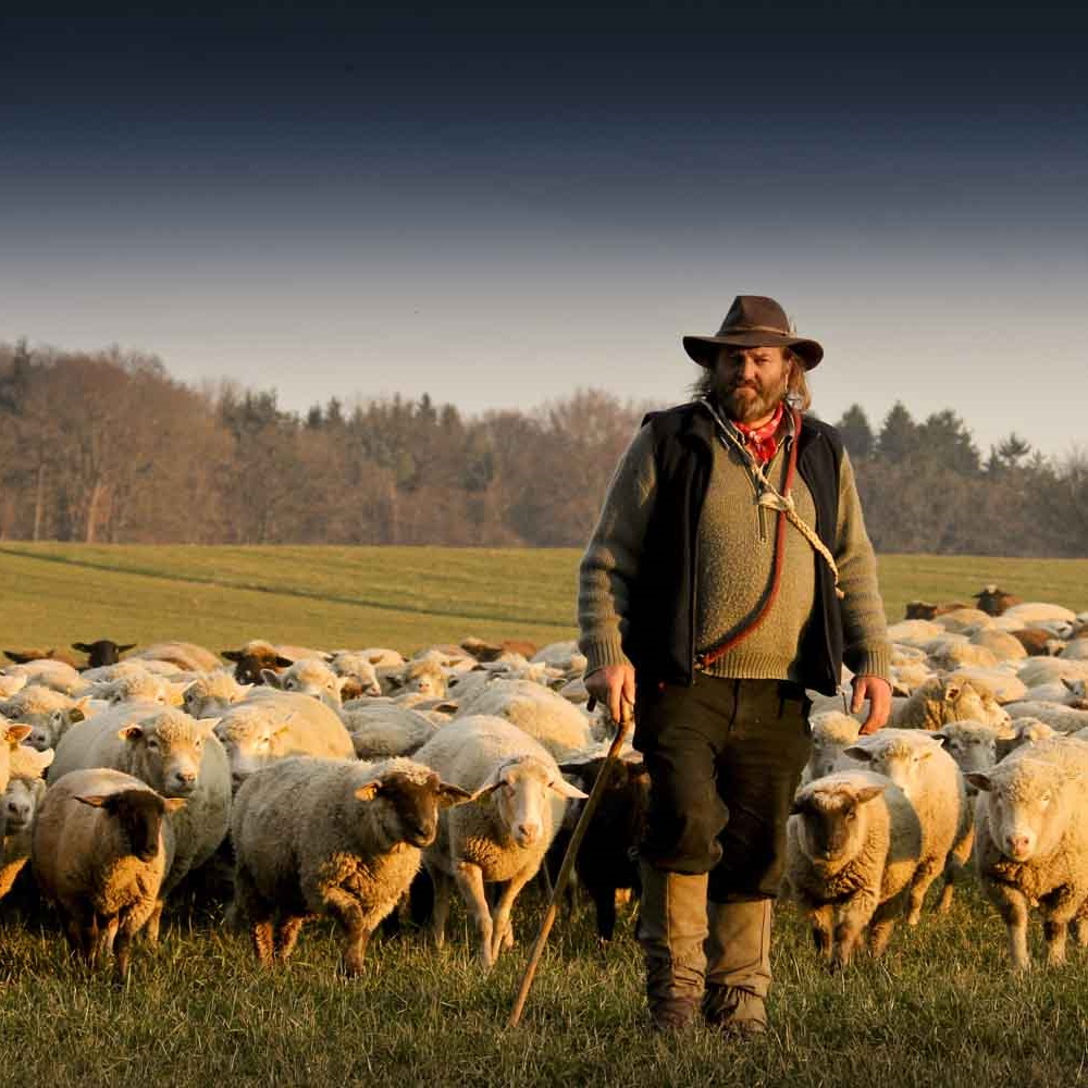 Der Abendsonne entgegen